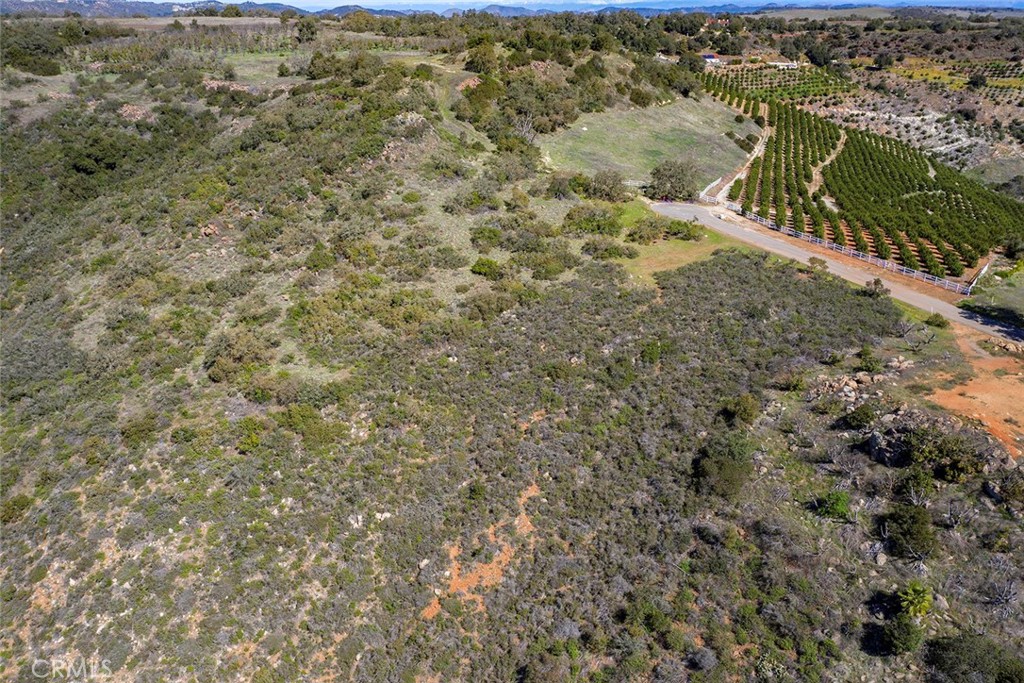 15 Via Escalon Property Photo 27