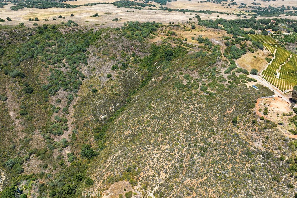 15 Via Escalon Property Photo 39