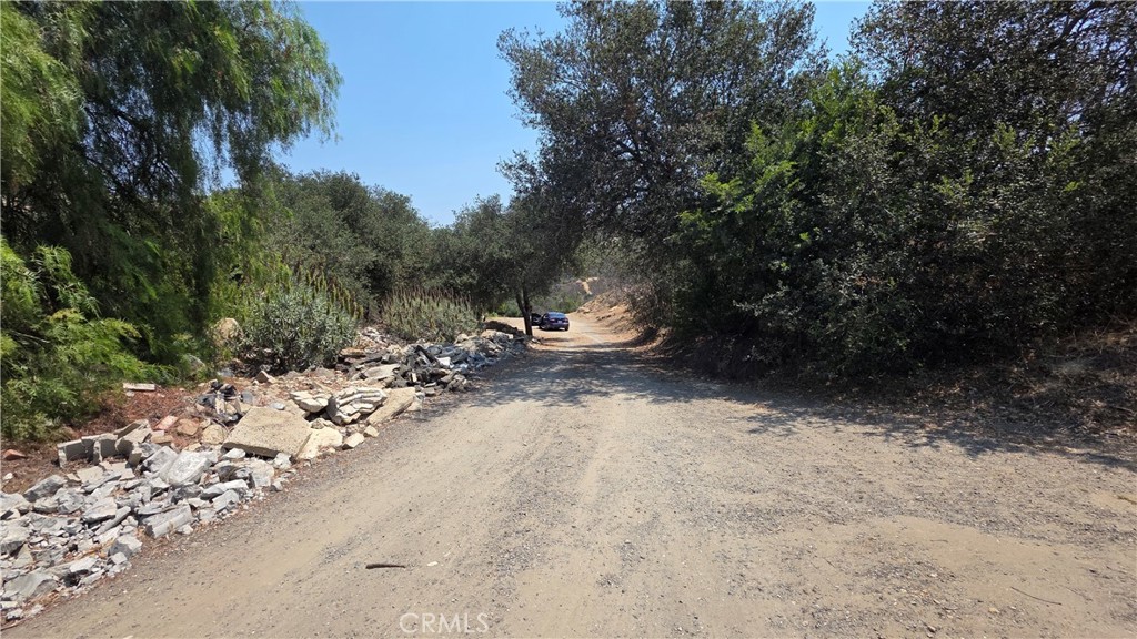 3027 Rainbow Valley Boulevard Property Photo 4