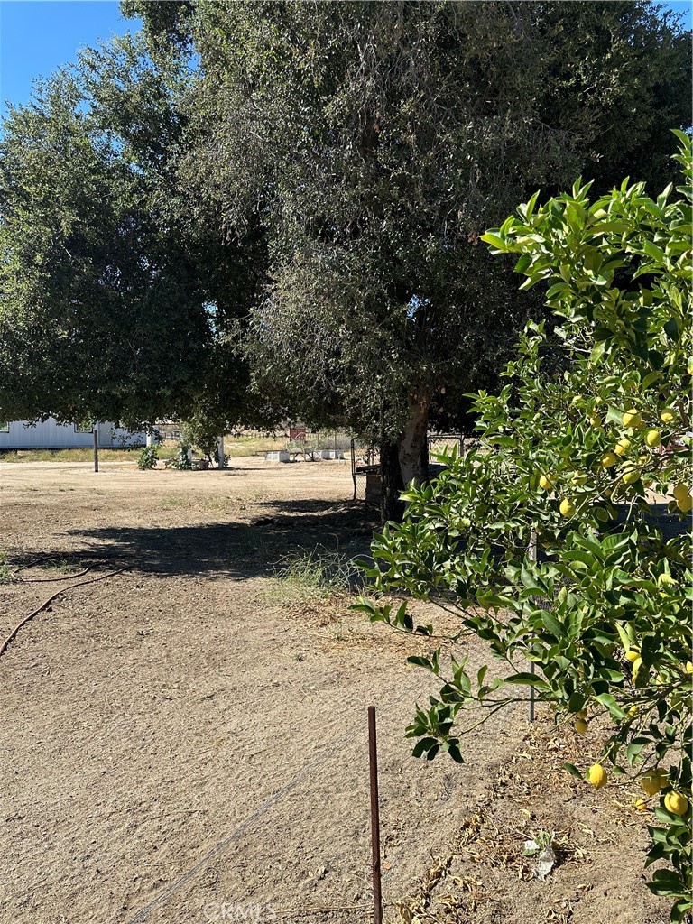 44845 Benton Road Property Photo 21