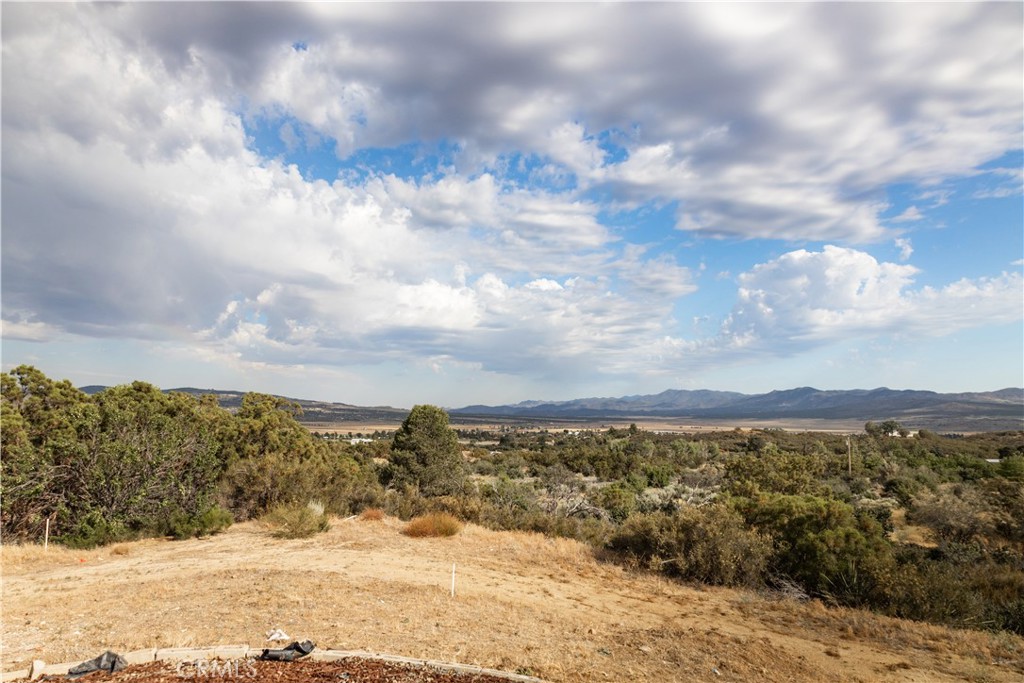 56515 Dickson Way Property Photo 16