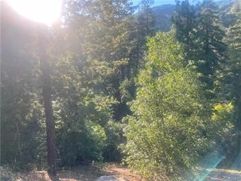 0 Elder Drive Property Photo 1