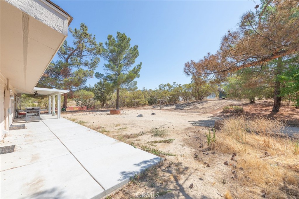 38855 Howard Road Property Photo 28