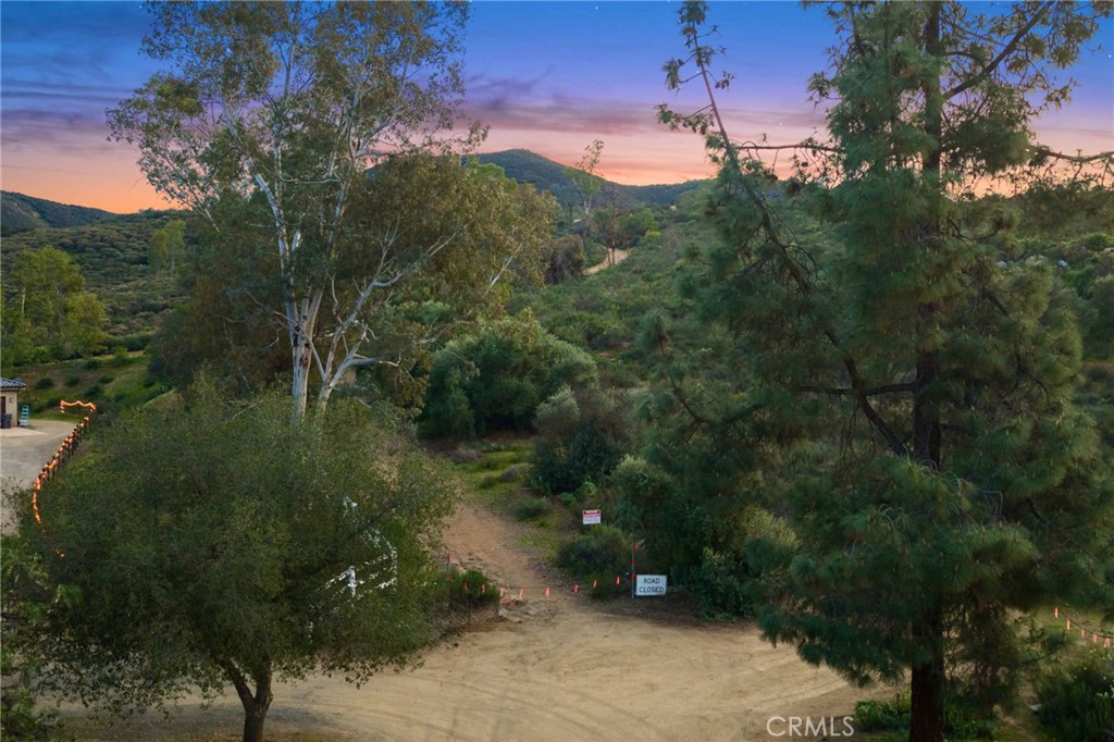 33515 Wild Lilac Property Photo 15