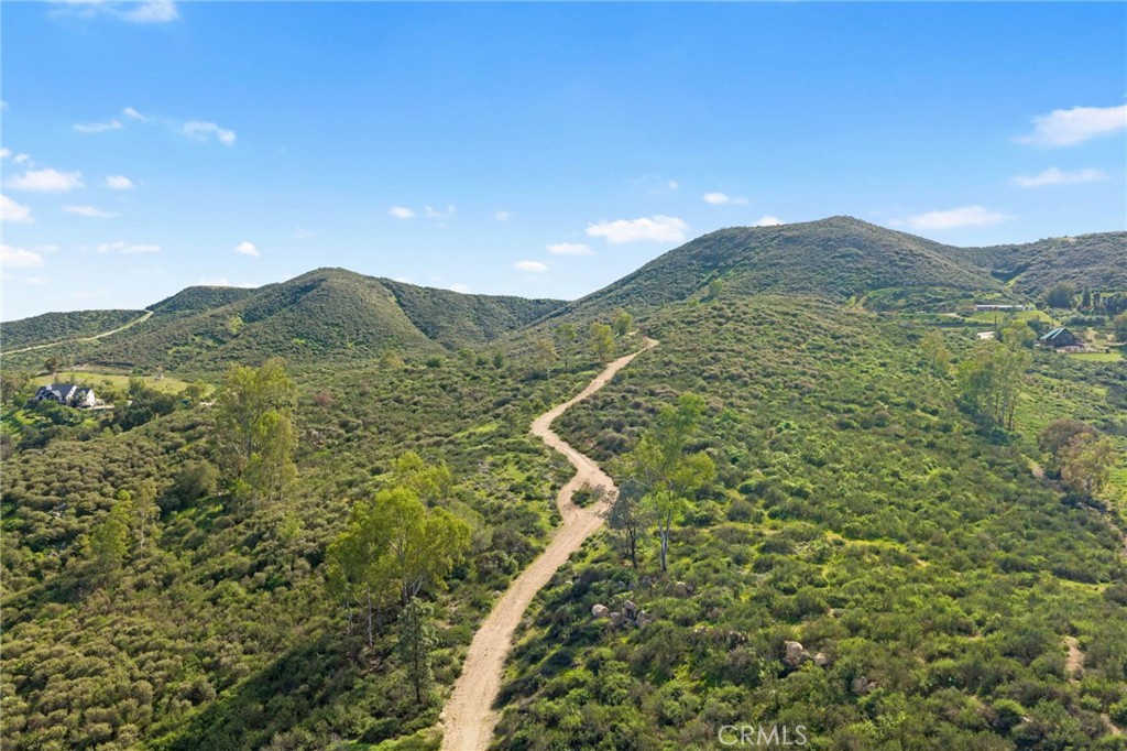 33515 Wild Lilac Property Photo 22