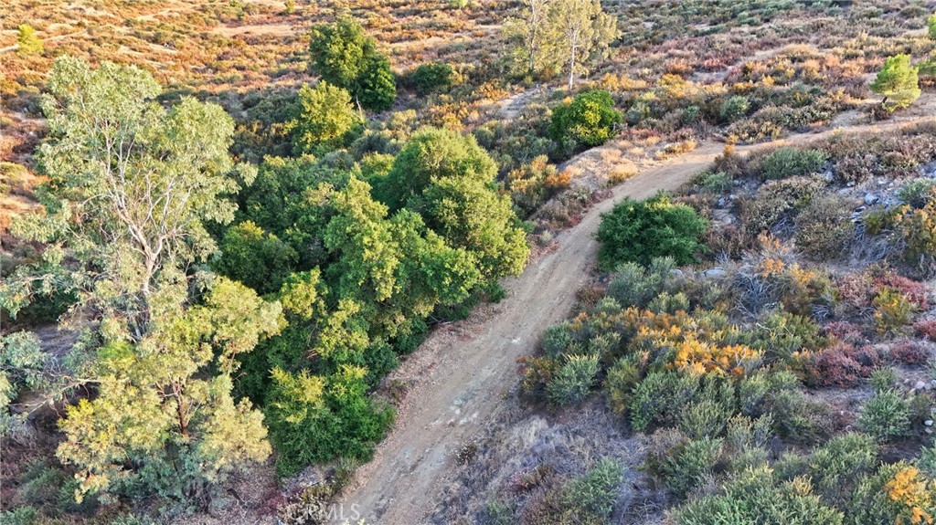 33515 Wild Lilac Property Photo 54