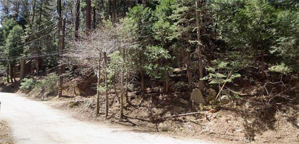 0 Community Drive Property Photo 1