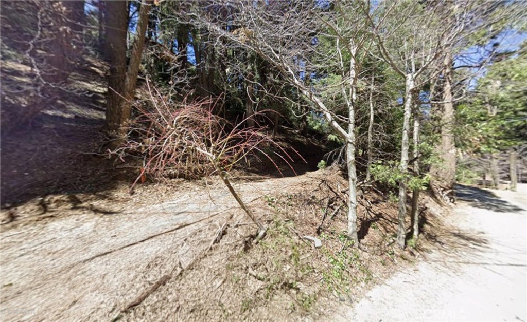 0 Community Drive Property Photo 3