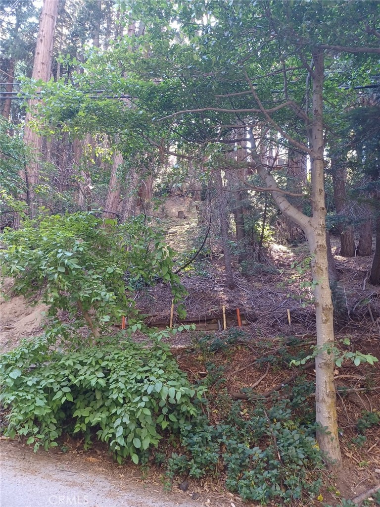 0 Community Drive Property Photo 8