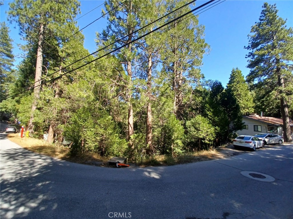 0 Club House Drive Property Photo
