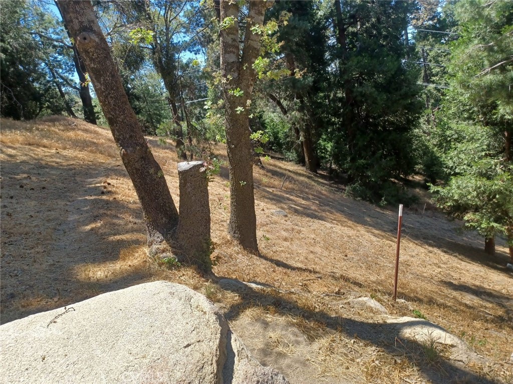 0 Pine Trail Property Photo 1