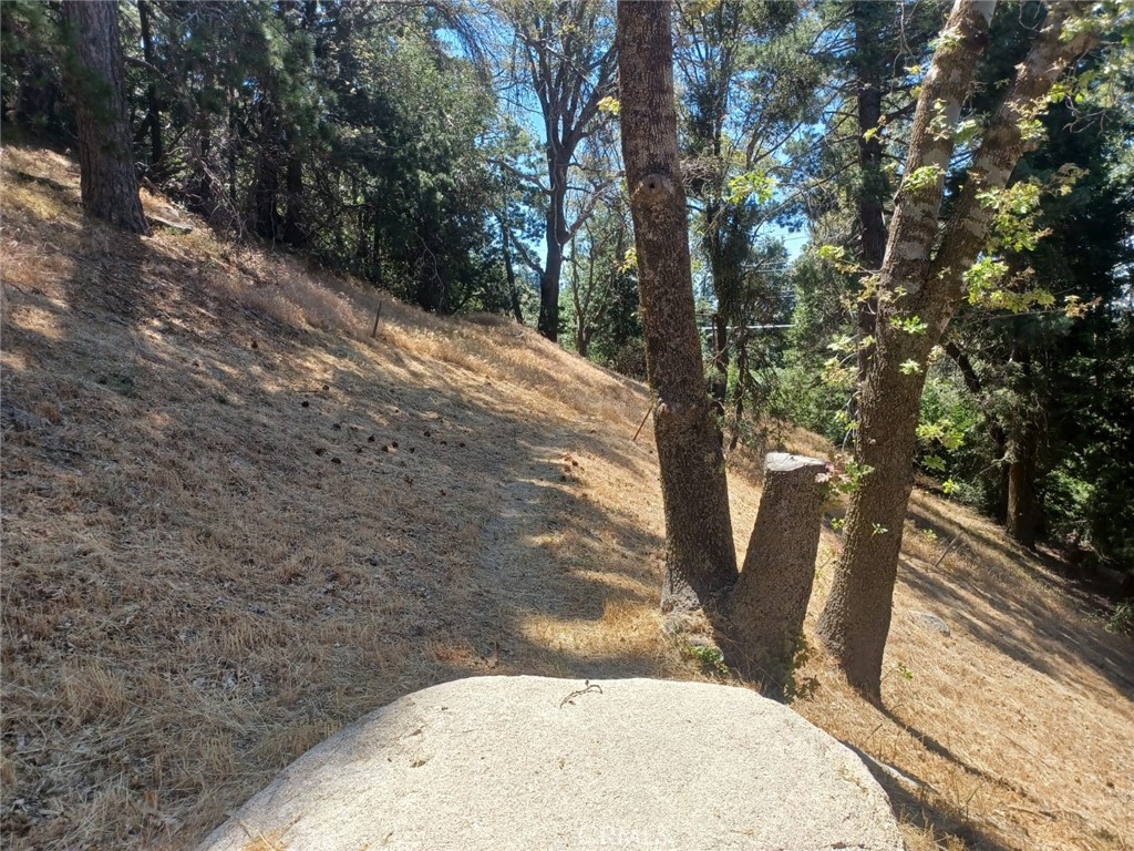 0 Pine Trail Property Photo 4