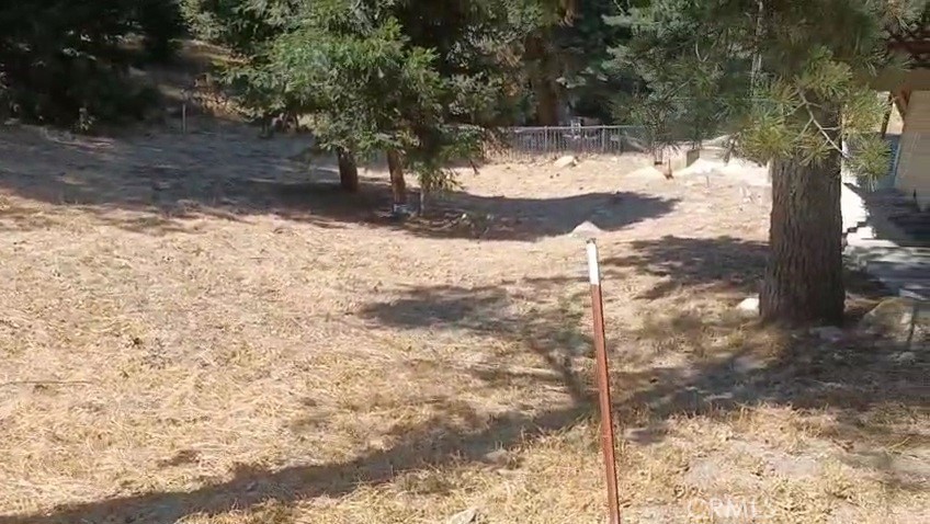 0 Pine Trail Property Photo 6