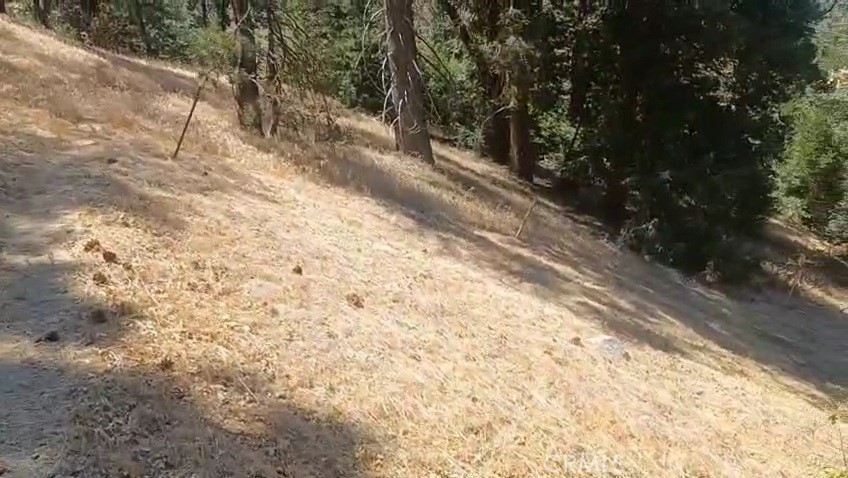 0 Pine Trail Property Photo 7
