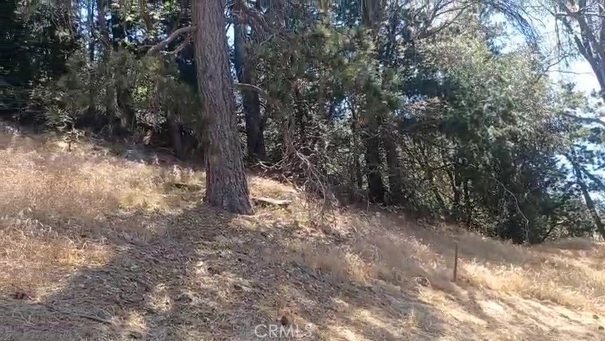 0 Pine Trail Property Photo 8