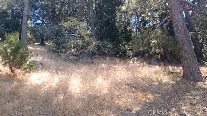 0 Pine Trail Property Photo 9
