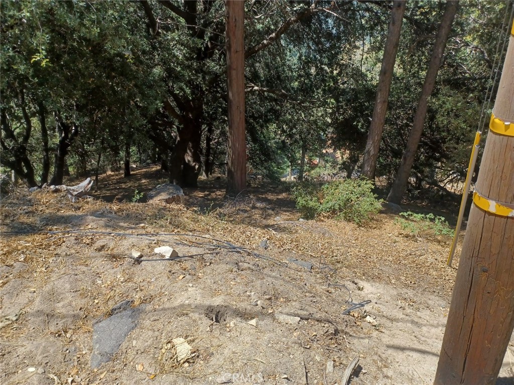 0 Lo Lane Property Photo 1
