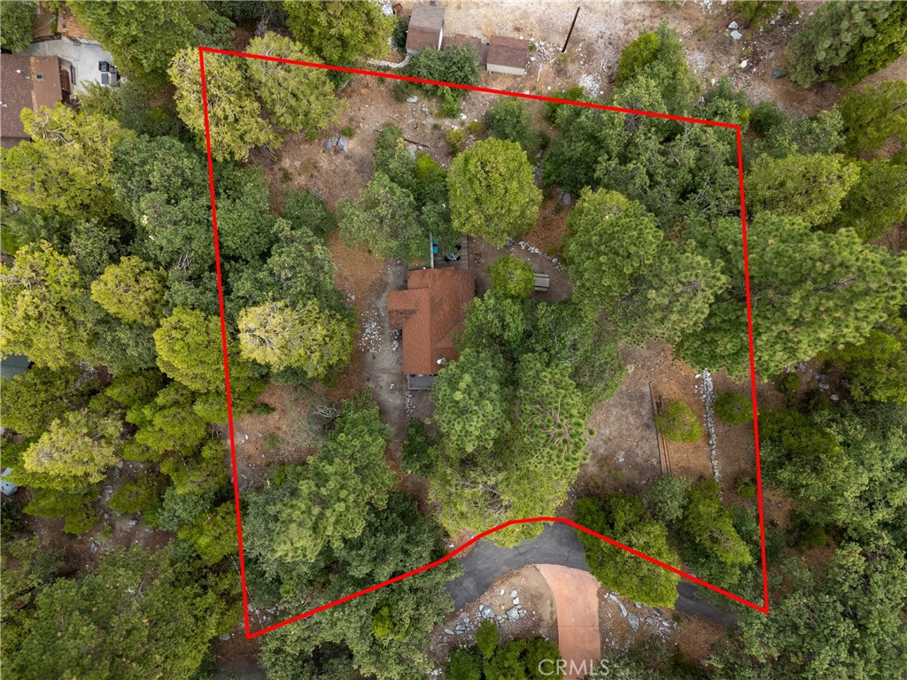 9165 Coffey Road Property Photo 7