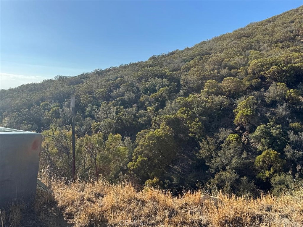 45740 Chapman Road Property Photo 2