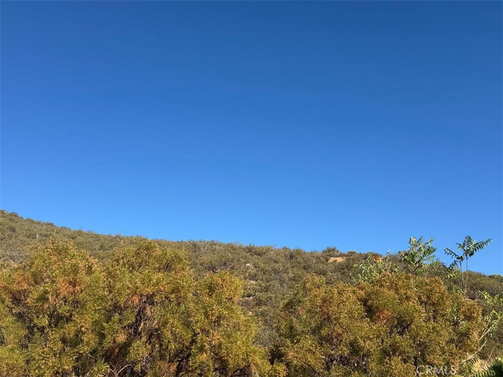 45740 Chapman Road Property Photo 6