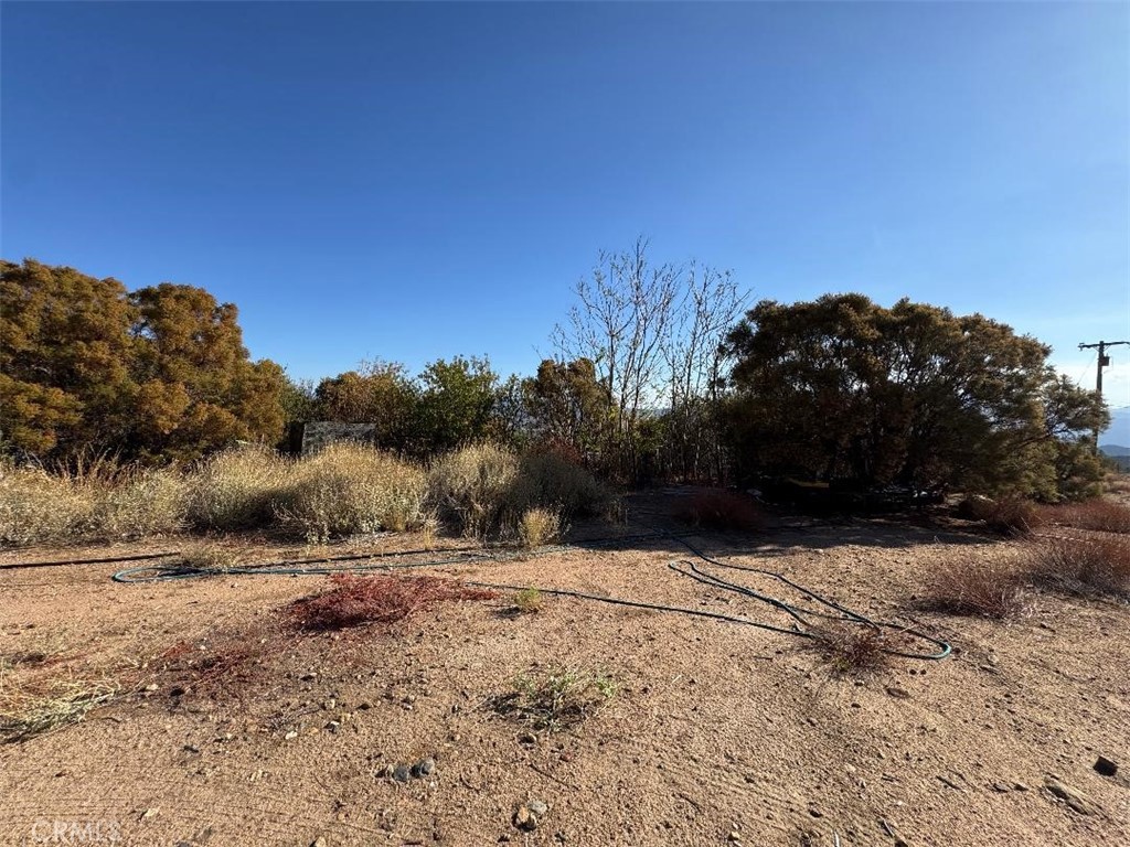 45740 Chapman Road Property Photo 11