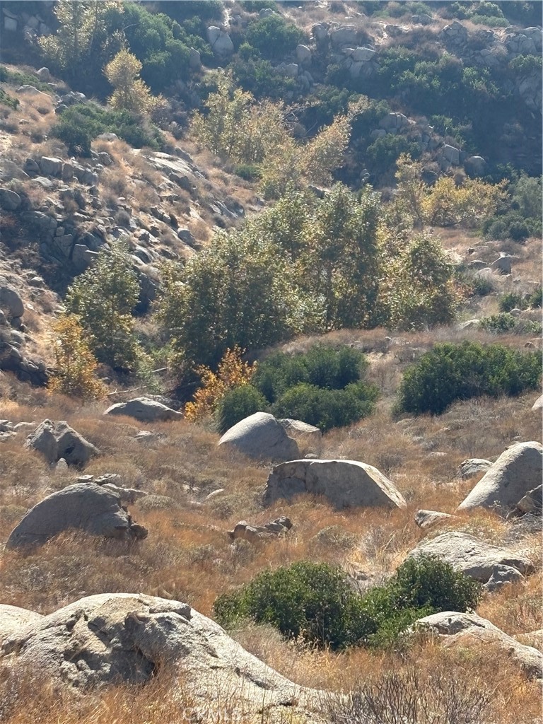 0 Gunther Property Photo 3