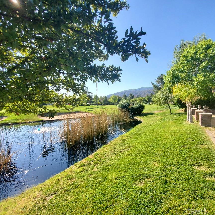 45525 Highway 79 #351 Property Photo 22