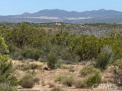 19 Higgins Road Property Photo 6