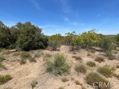19 Higgins Road Property Photo 7