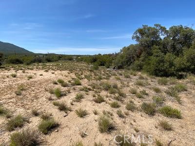 19 Higgins Road Property Photo 8