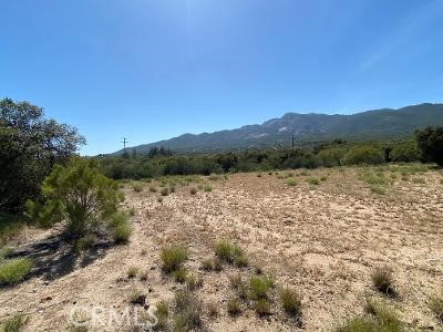 19 Higgins Road Property Photo 9