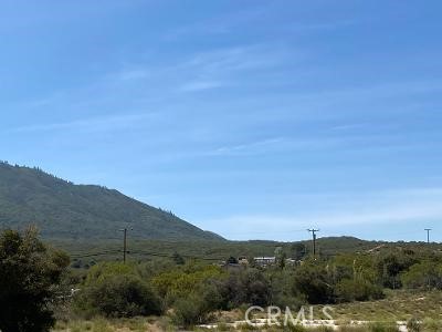 19 Higgins Road Property Photo 12