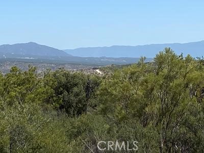 19 Higgins Road Property Photo 15