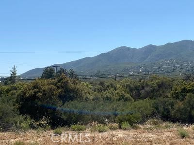 19 Higgins Road Property Photo 16