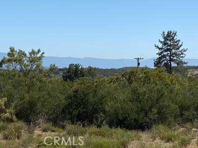 19 Higgins Road Property Photo 17