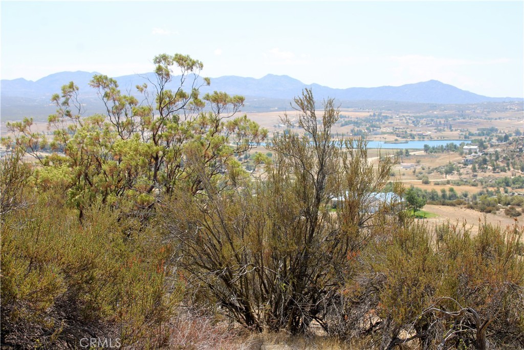 875 Lake Canyon Property Photo 9