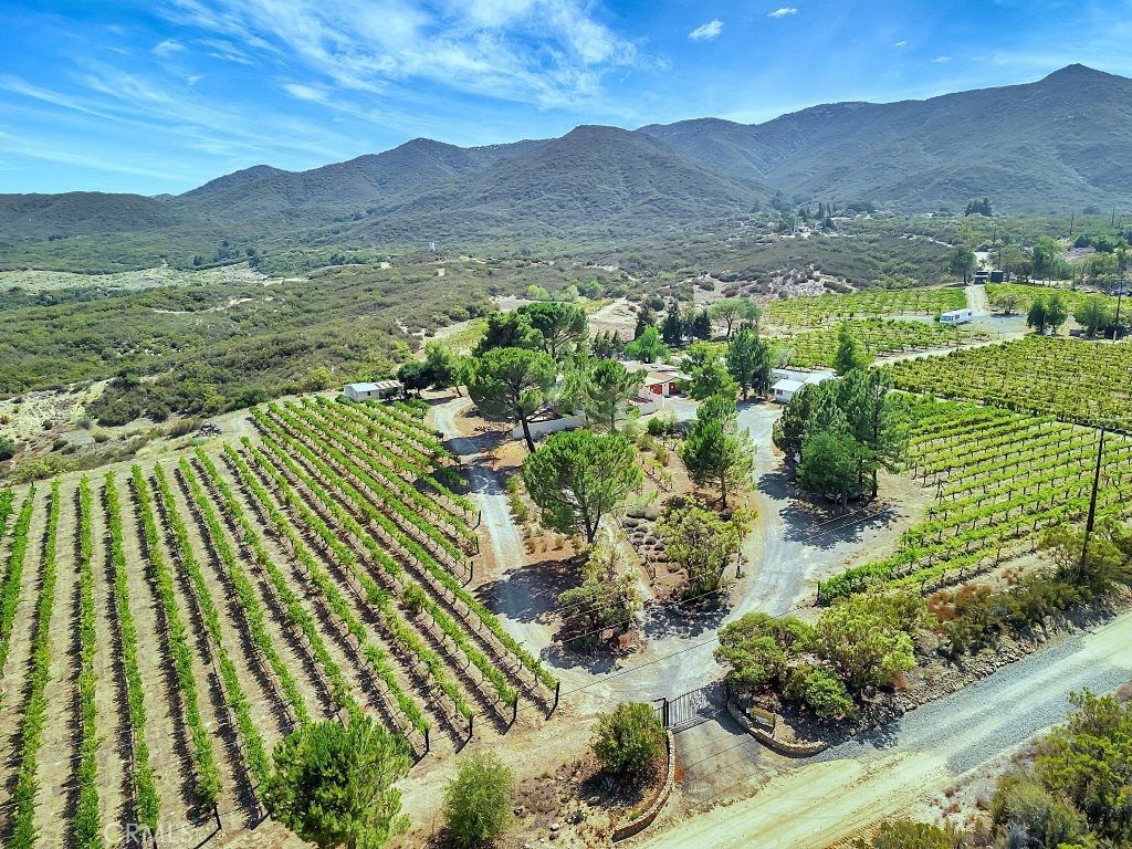 34680 Highway 79 Property Photo 1