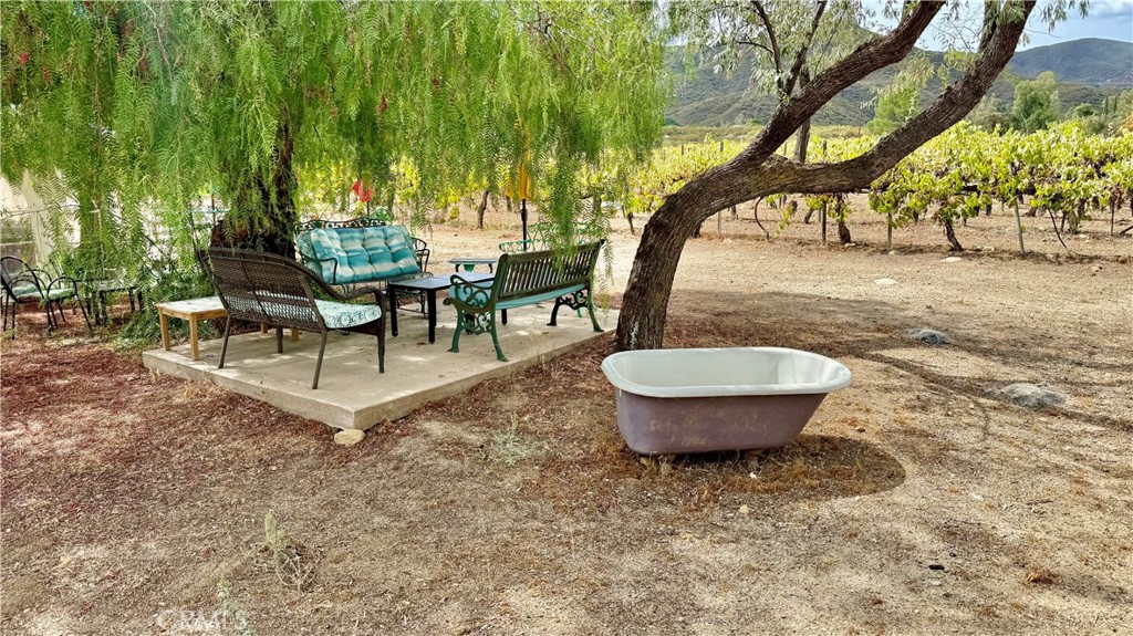 34680 Highway 79 Property Photo 19