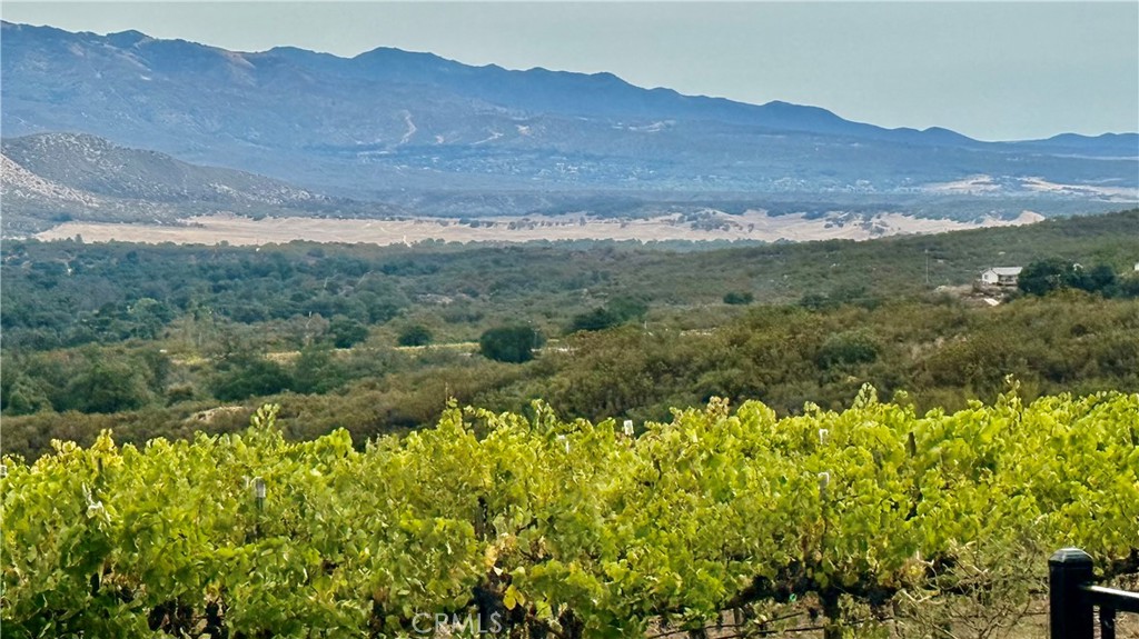 34680 Highway 79 Property Photo 48