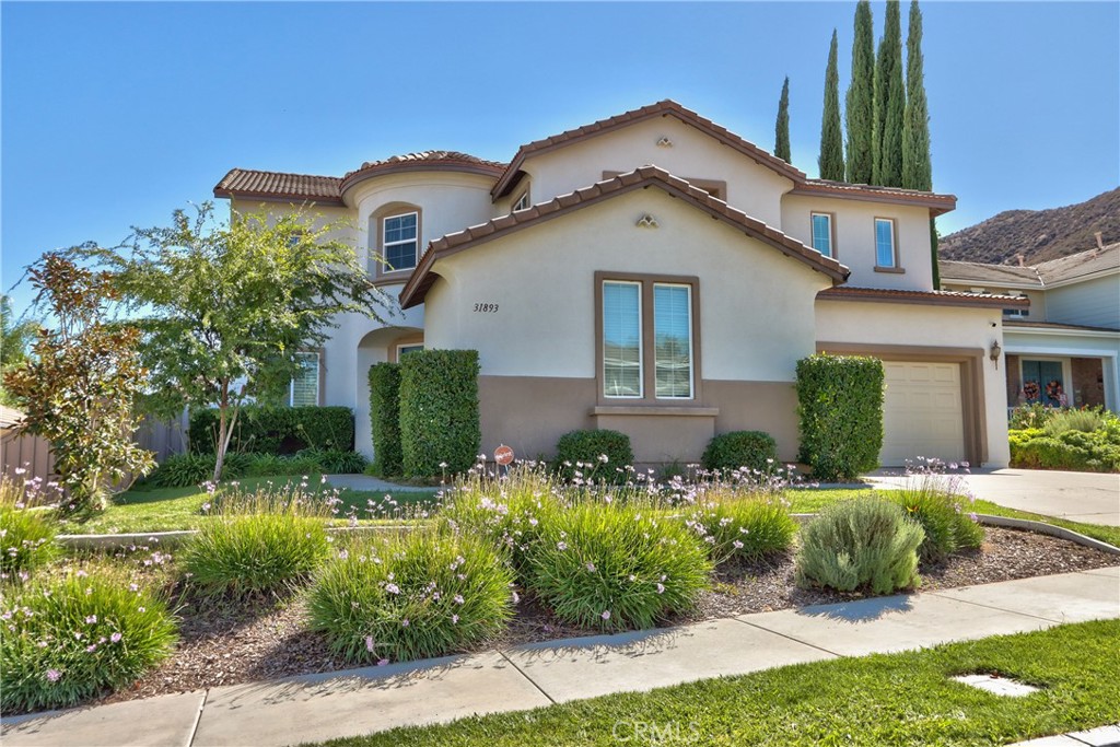 31893 Vinewood Court Property Photo 1