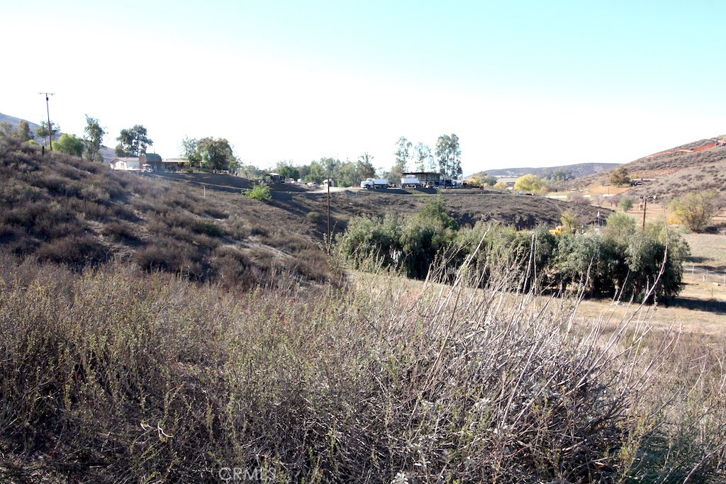 33687 N Sidney Circle Property Photo 7