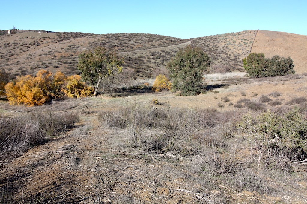 33687 N Sidney Circle Property Photo 8