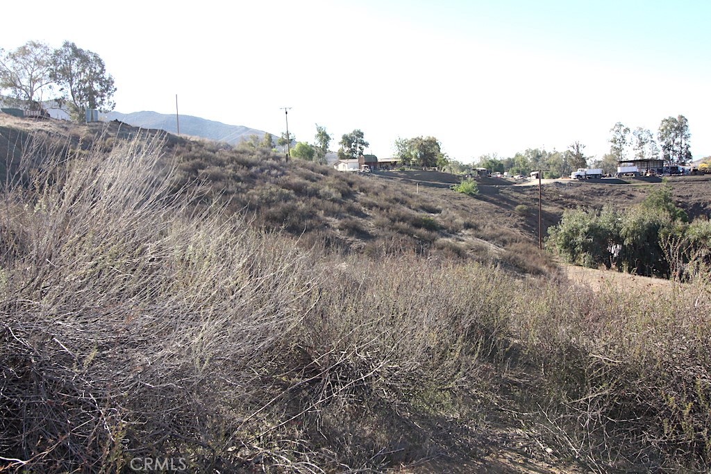 33687 N Sidney Circle Property Photo 10