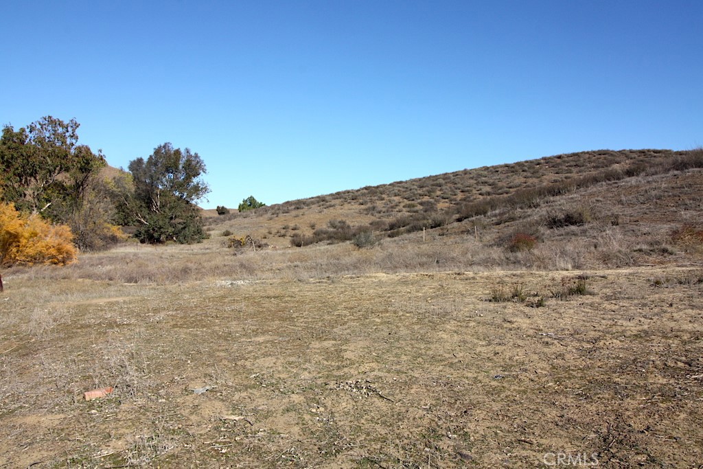 33687 N Sidney Circle Property Photo 14