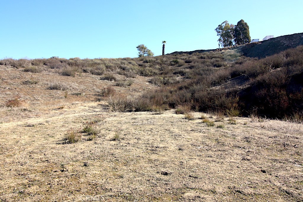 33687 N Sidney Circle Property Photo 15