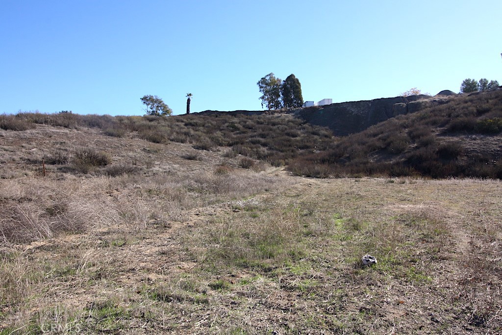 33687 N Sidney Circle Property Photo 17