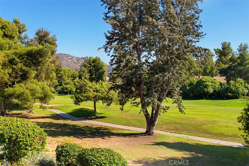 4346 Los Padres Drive Property Photo 33