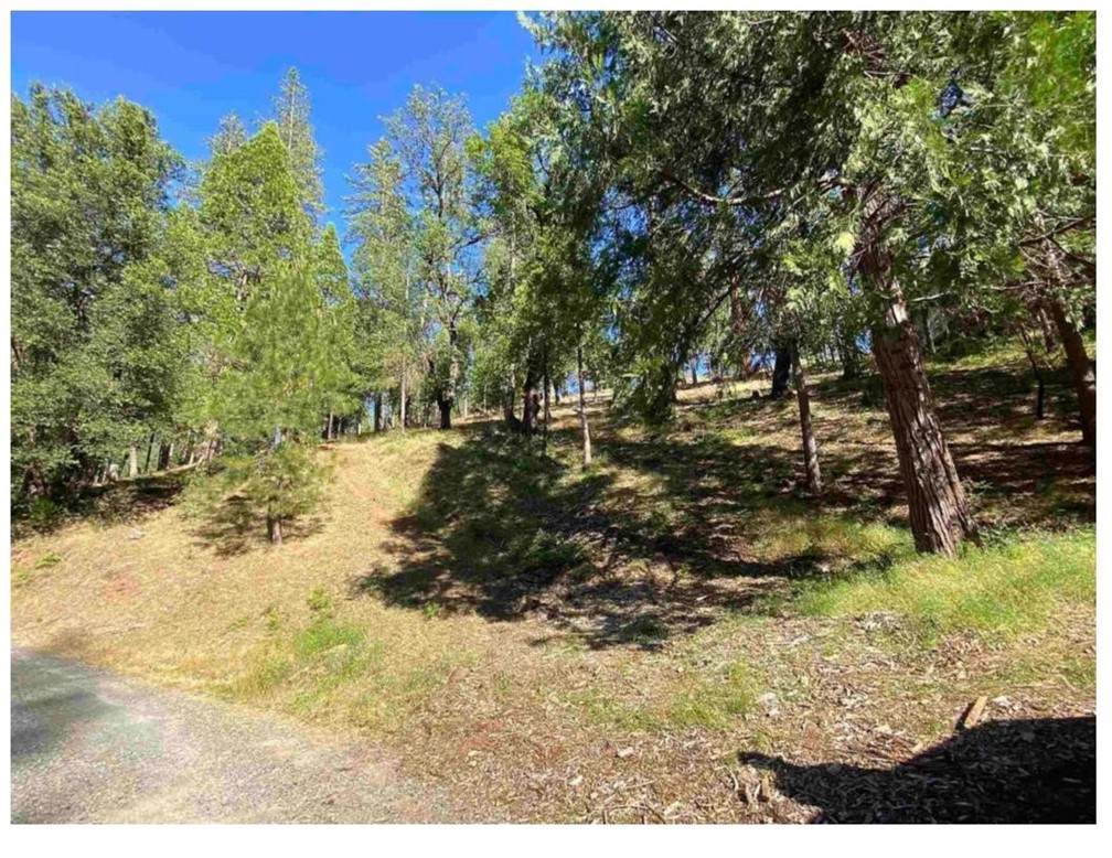 0 Pine Mountain Drive Property Photo 3