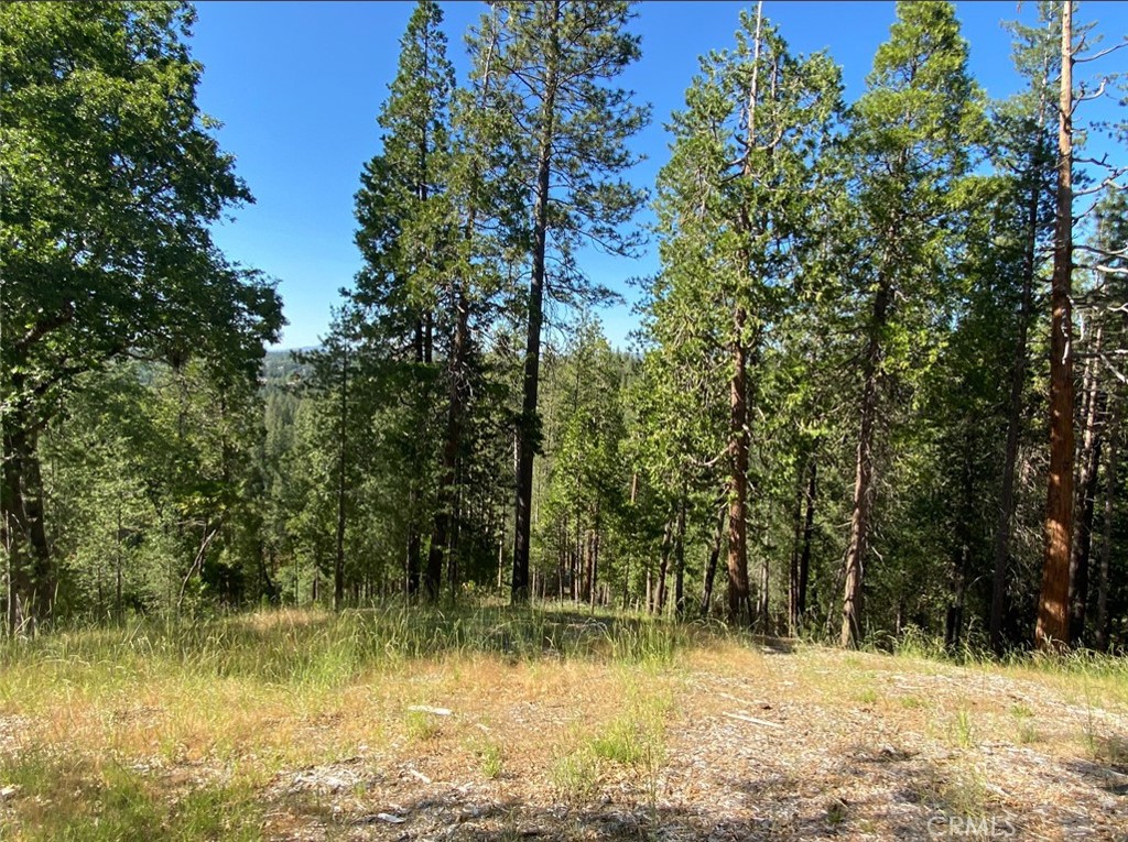 0 Pine Mountain Drive Property Photo 4