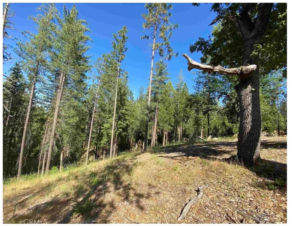 0 Pine Mountain Drive Property Photo 8